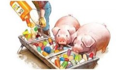 獸藥殘留檢測方法有哪些？