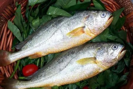 黑魚中檢測出孔雀石綠超標，黃魚中檢測出氧氟沙星超標