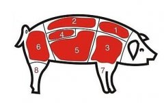 病害肉檢測儀讓老百姓吃上放心肉！