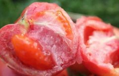 為何建議超市配備食品安全檢測(cè)儀？