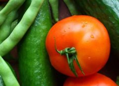 配備食品安全檢測(cè)儀有何必要性？