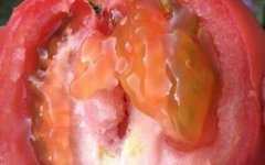 農(nóng)殘快速檢測儀如何做到保障農(nóng)產(chǎn)品安全的？